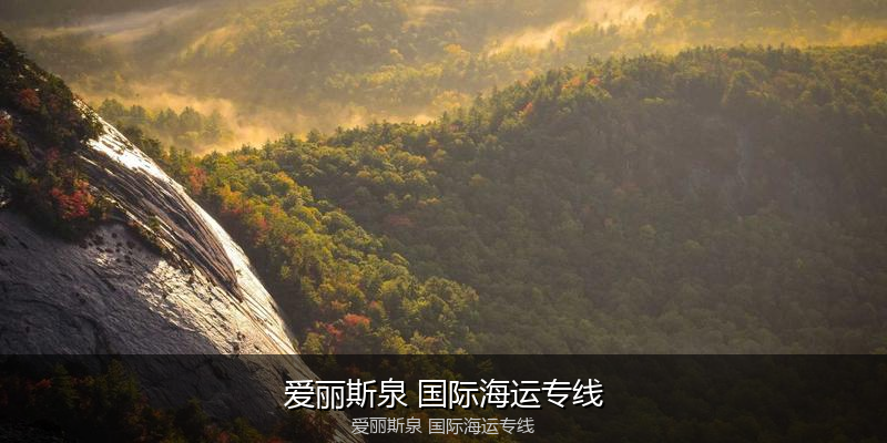 中国到澳洲海运专线服务优势与价格指南